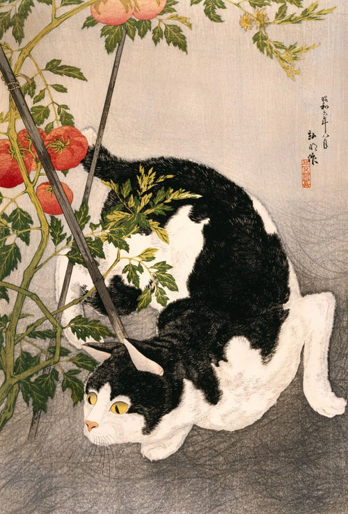 Kitten and the Falling Leaves — cozy autumn woody perfume by Vili Hooney